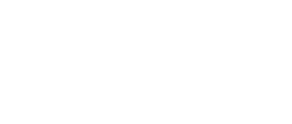 Envision